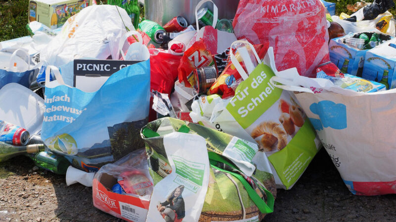 Bremer Aufräumtage 2026 | Unser Verein ist dabei!